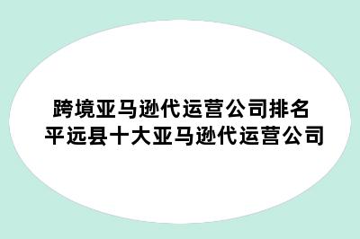 跨境亚马逊代运营公司排名 平远县十大亚马逊代运营公司